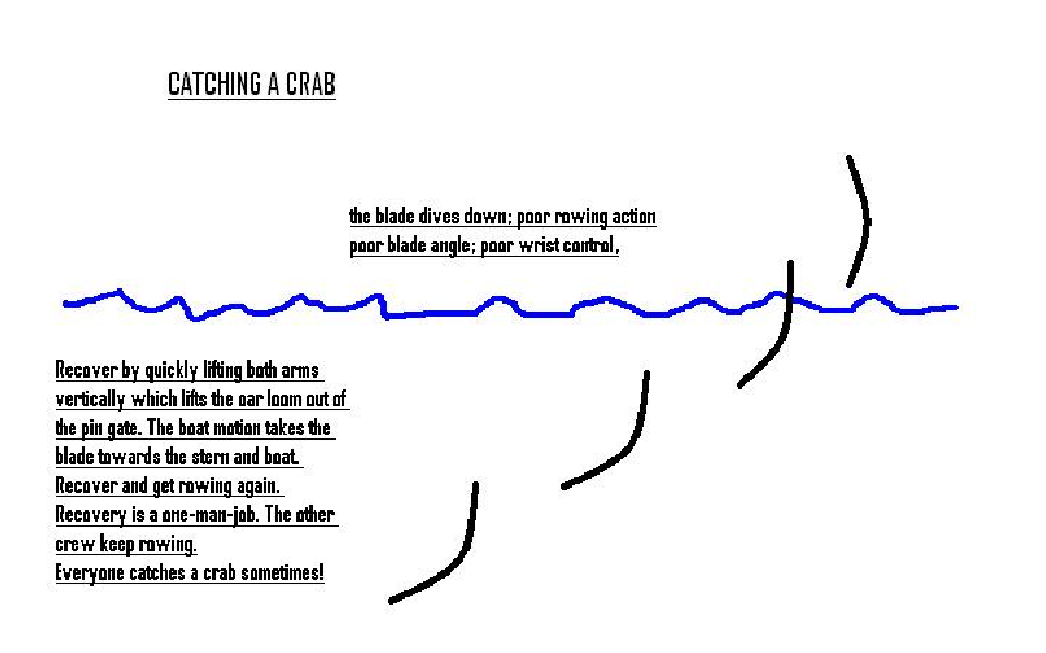 rowing basics