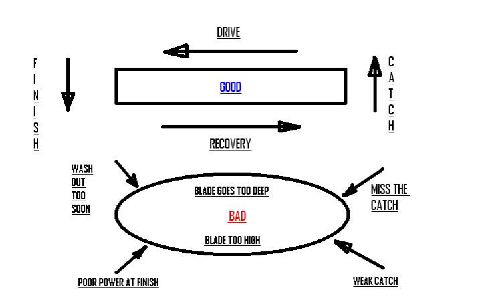 action of the stroke